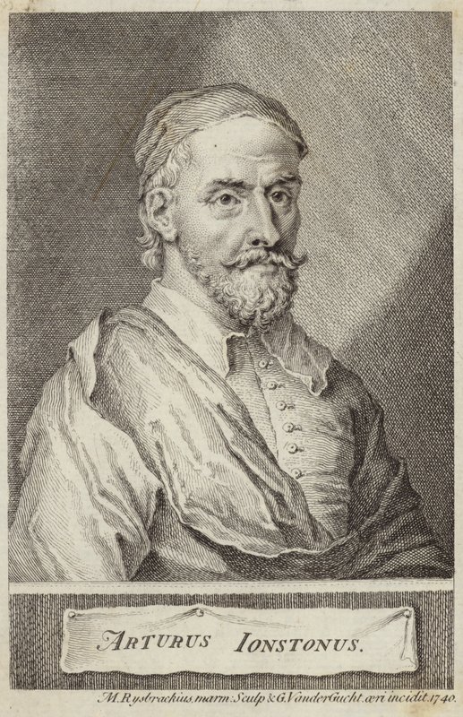 Porträt von Arthur Johnston von English School