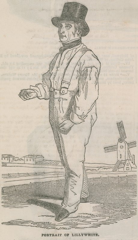 Porträt von Lillywhite von English School