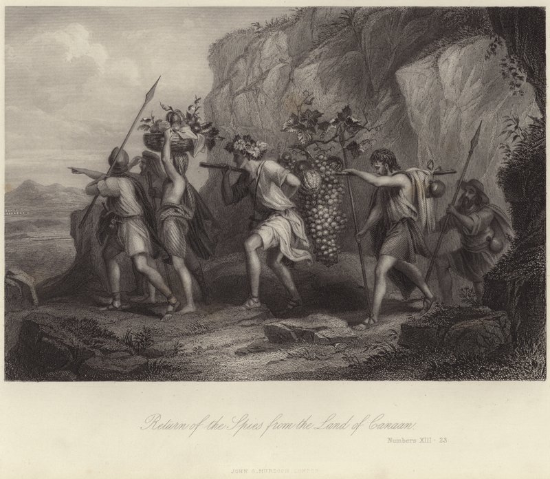 Rückkehr der Spione aus dem Land Kanaan von English School