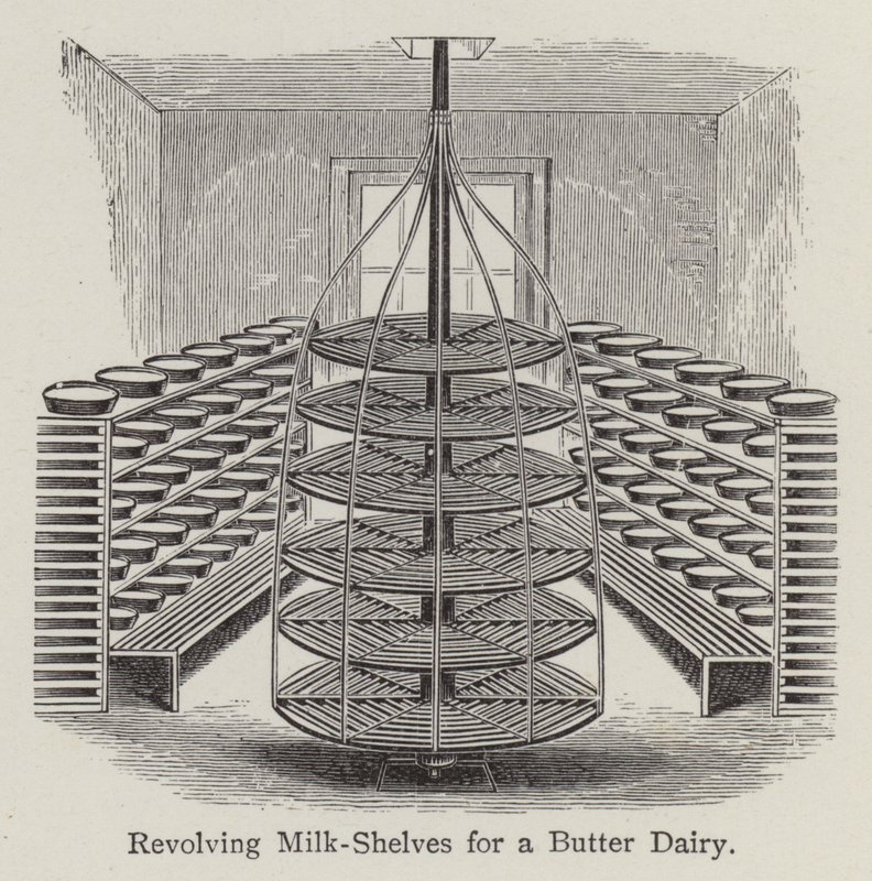 Drehbare Milchregale für eine Butter-Molkerei von English School