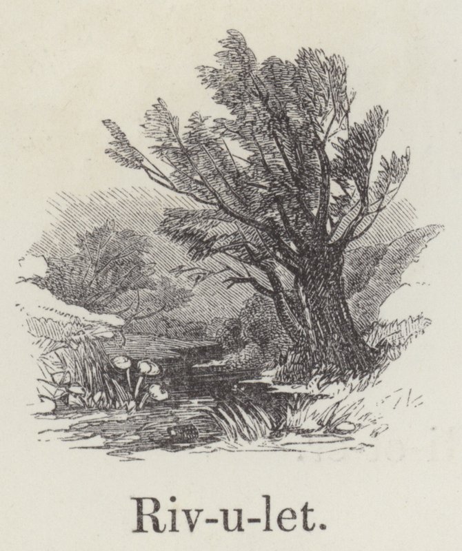 Bach (Gravur) von English School