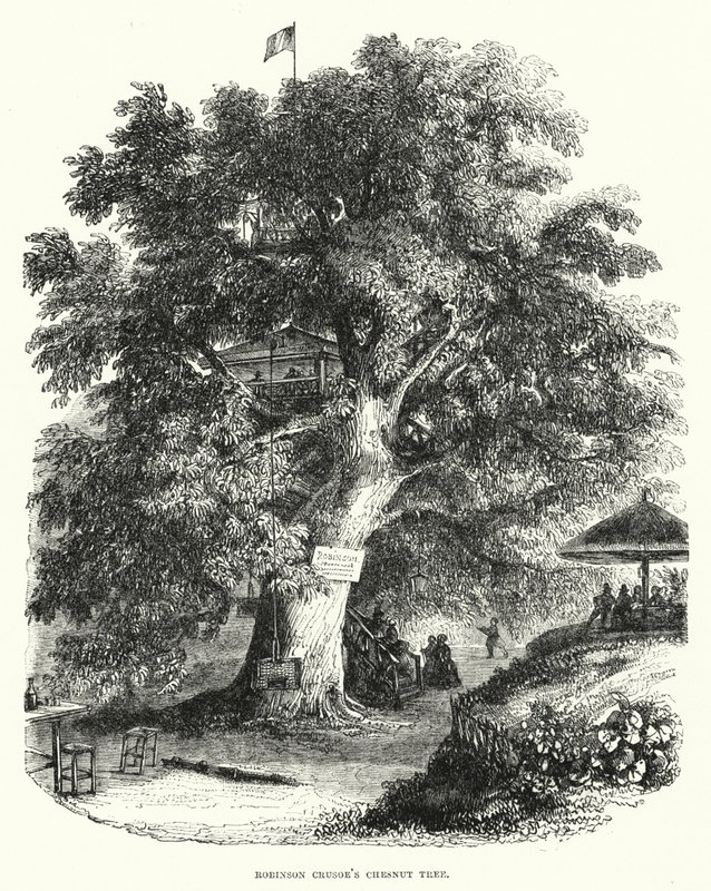 Robinson Crusoes Kastanienbaum von English School