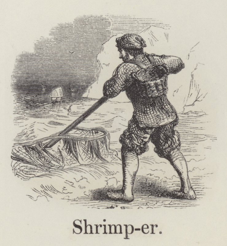 Krabbenfischer von English School