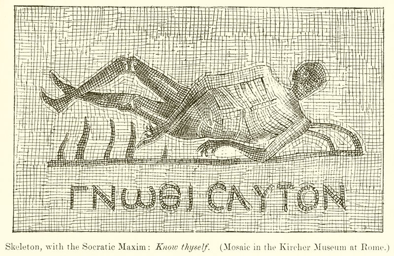Skelett mit dem sokratischen Spruch: Erkenne dich selbst (Mosaik im Kircher Museum in Rom) von English School