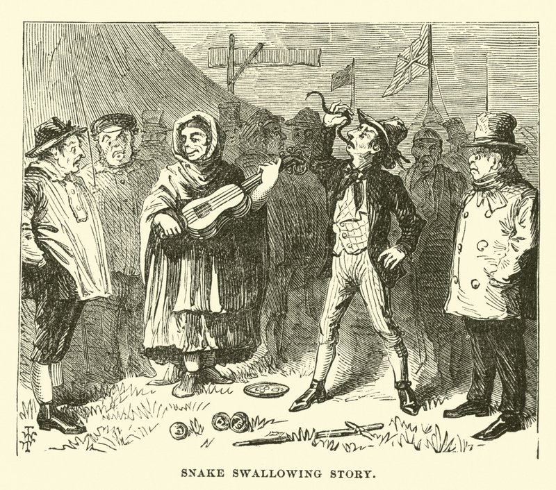 Schlangenschluckgeschichte von English School