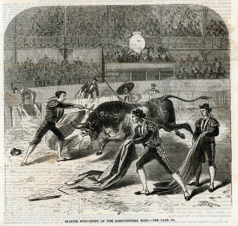 Spanischer Stierkampf in der Landwirtschaftshalle, Islington von English School