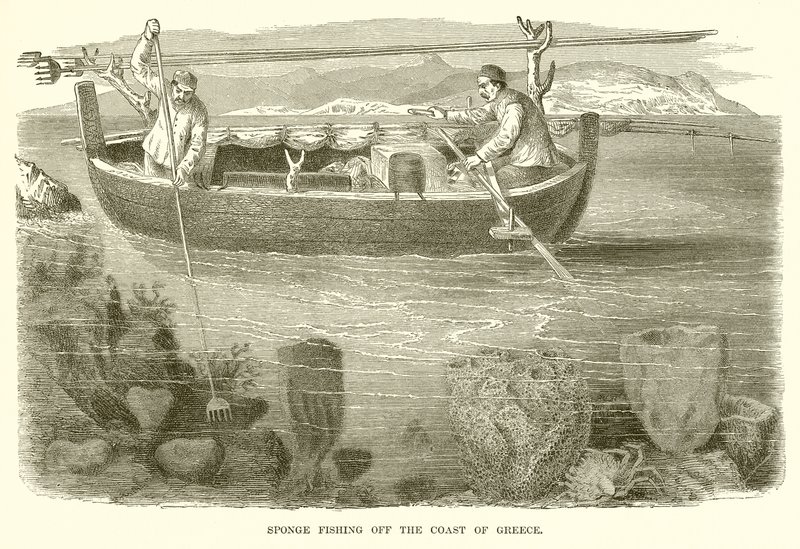 Schwammfischen vor der Küste Griechenlands von English School
