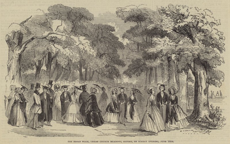 Der Broad Walk, Christ Church Meadows, Oxford, am Sonntagabend von English School