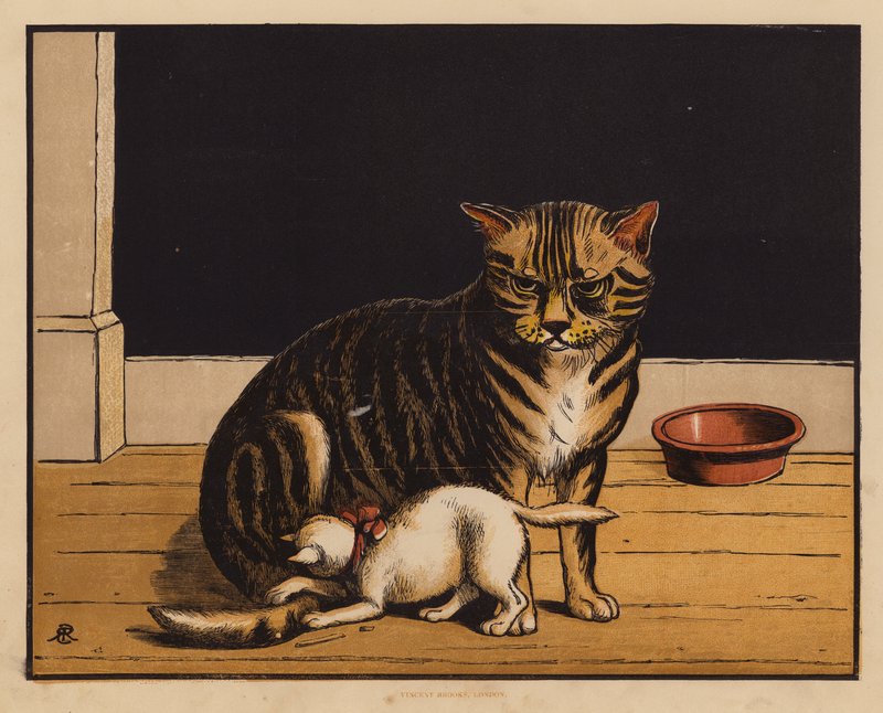 Die Katze (Farblithografie) von English School