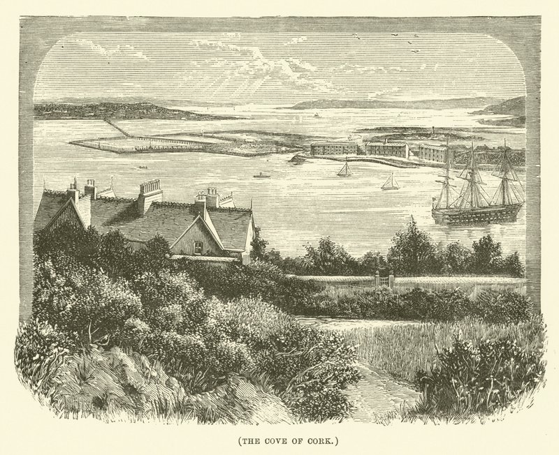 Die Bucht von Cork (Gravur) von English School