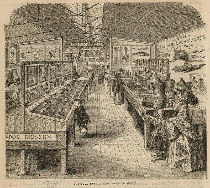 Das Lebensmittel- und Tierprodukte-Museum, South Kensington Museum von English School