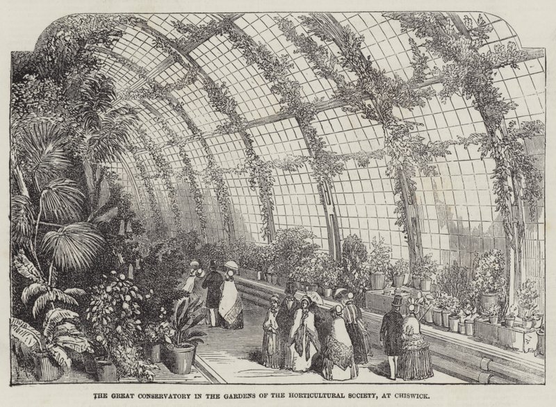 Das große Konservatorium in den Gärten der Horticultural Society in Chiswick von English School