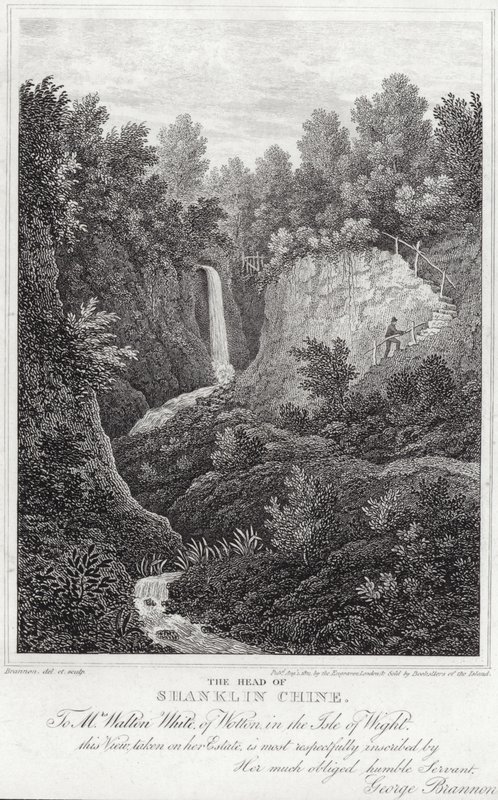 Der Kopf von Shanklin Chine von English School