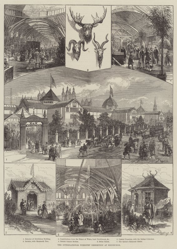 Die Internationale Forstausstellung in Edinburgh (Stich) von English School
