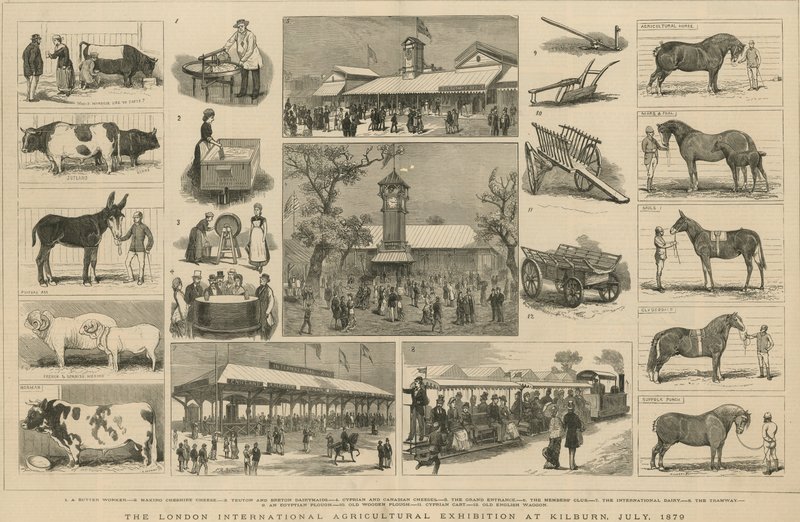 Die Londoner Internationale Landwirtschaftsausstellung in Kilburn, Juli 1879 von English School
