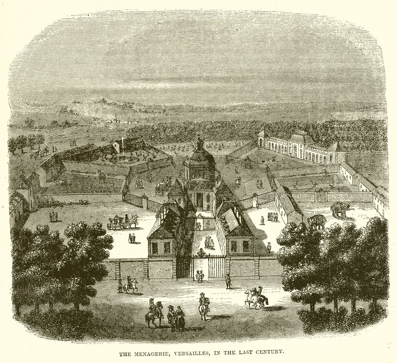 Die Menagerie, Versailles, im letzten Jahrhundert von English School