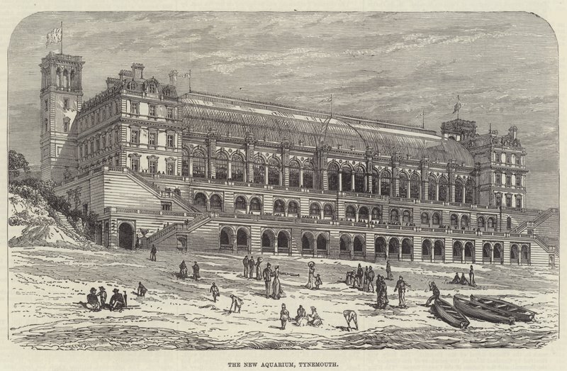 Das neue Aquarium, Tynemouth (Gravur) von English School