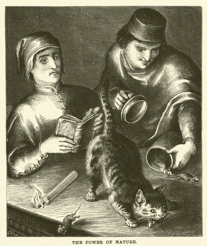 Die Macht der Natur (Gravur) von English School