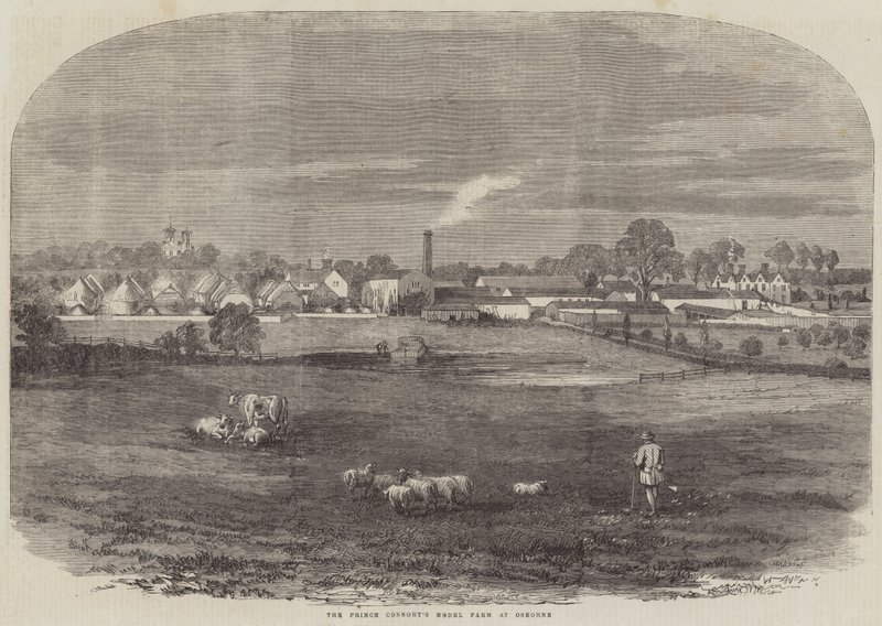 Das Modellgut des Prinzgemahls in Osborne (Gravur) von English School
