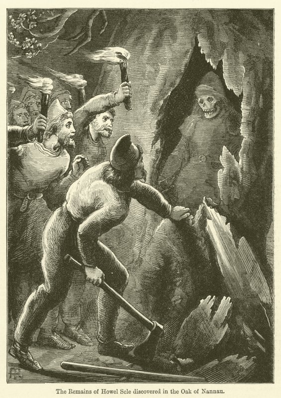 Die Überreste von Howel Sele im Eichenbaum von Nannau entdeckt (Gravur) von English School