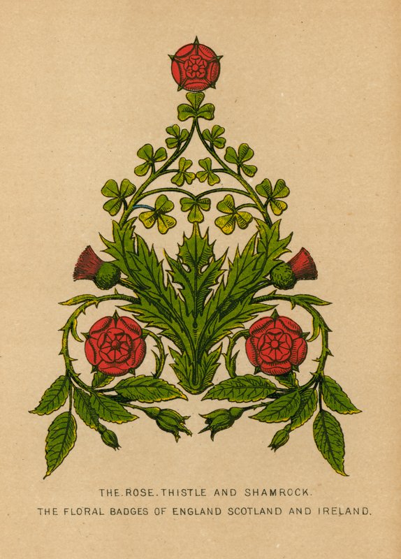 Die Rose, Distel und Kleeblatt. Die floralen Abzeichen von England, Schottland und Irland von English School