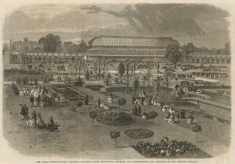 Die Gärten der Königlichen Gartenbaugesellschaft, South Kensington von English School