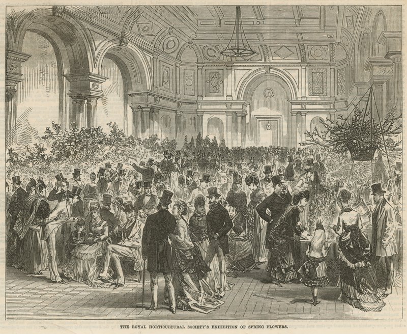 Die Ausstellung von Frühlingsblumen der Königlichen Gartenbaugesellschaft von English School