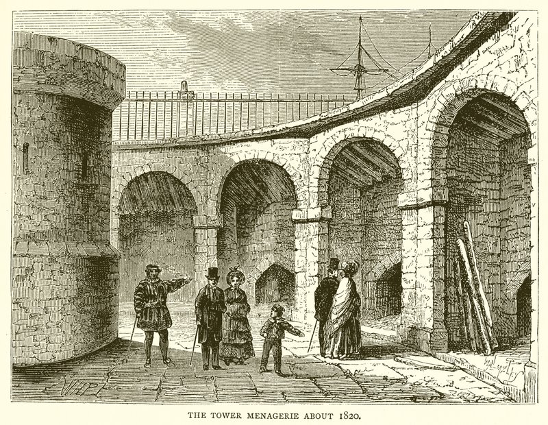 Die Menagerie im Tower um 1820 von English School