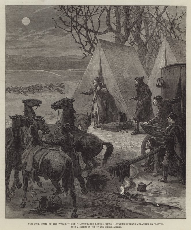 Der Krieg, Lager der Korrespondenten der "Times" und "Illustrated London News" von Wölfen angegriffen (Stich) von English School