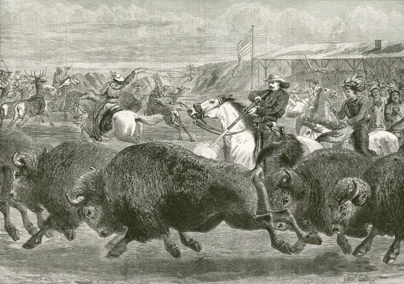 Der Wilde Westen bei der Great American Exhibition - Jagd auf Bisons und Wapiti-Hirsche von English School