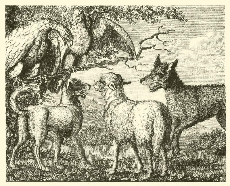 Der Hund und das Schaf von English School