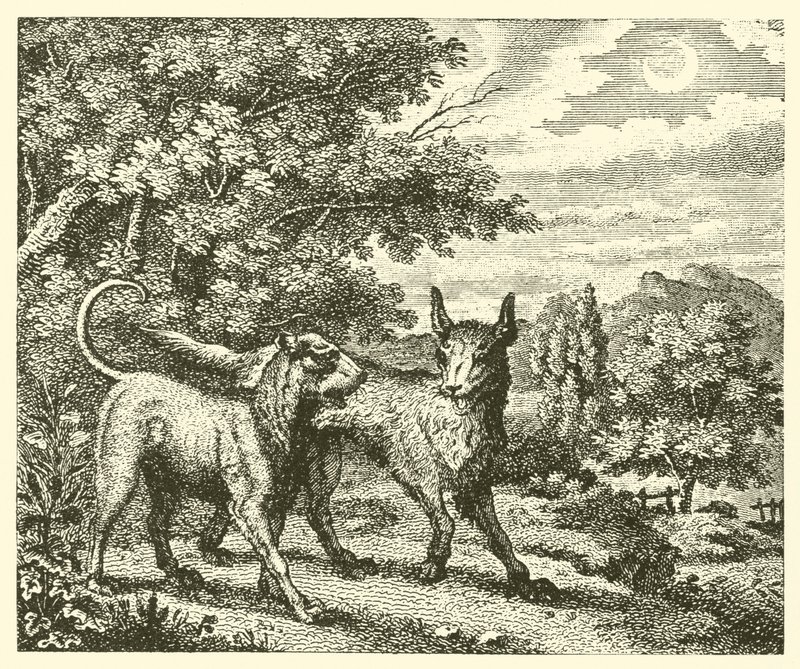 Der Hund und der Wolf (Gravur) von English School