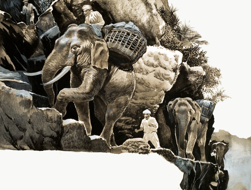 Die Elefantenwanderung von Elephant Bill von English School