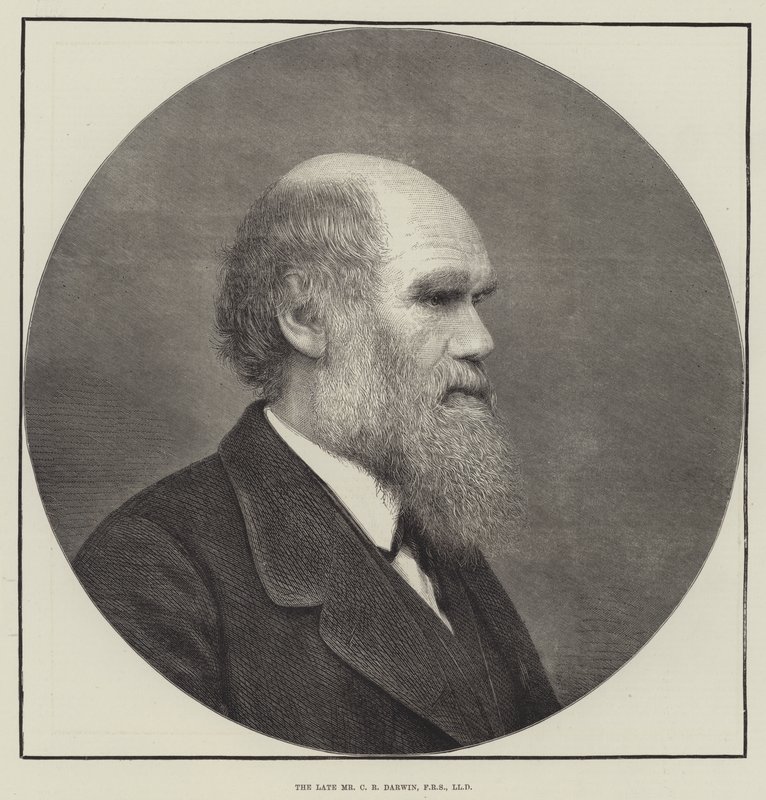 Der verstorbene Mr. C. R. Darwin, FRS, LLD von English School