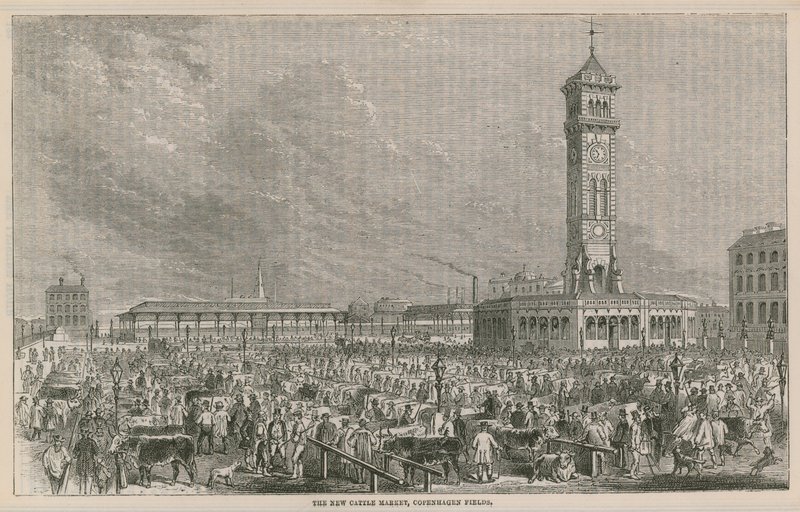 Der neue Viehmarkt, Copenhagen Fields, London von English School