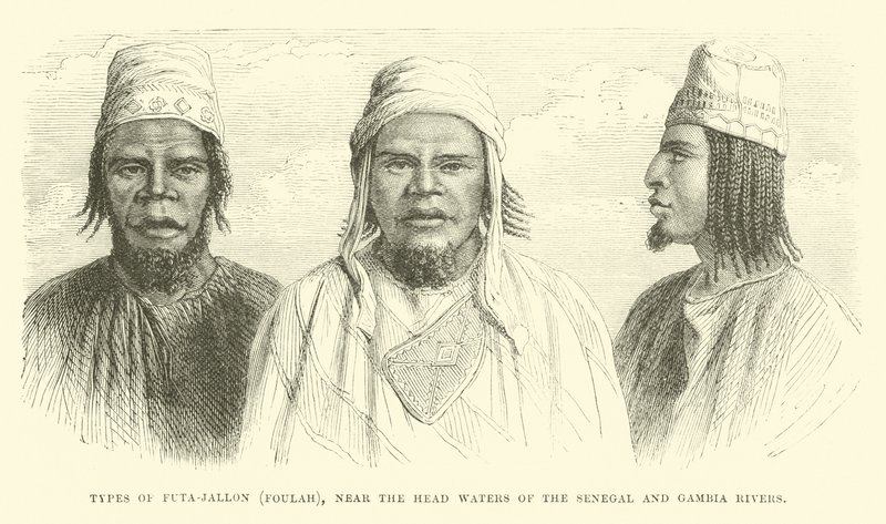 Typen von Futa-Jallon, Foulah, nahe den Quellgebieten der Senegal- und Gambia-Flüsse von English School
