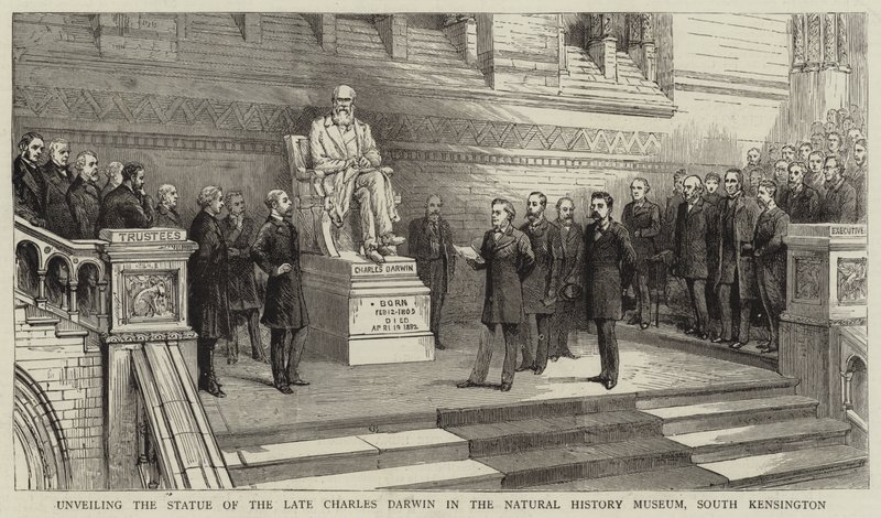 Enthüllung der Statue des verstorbenen Charles Darwin im Natural History Museum, South Kensington von English School