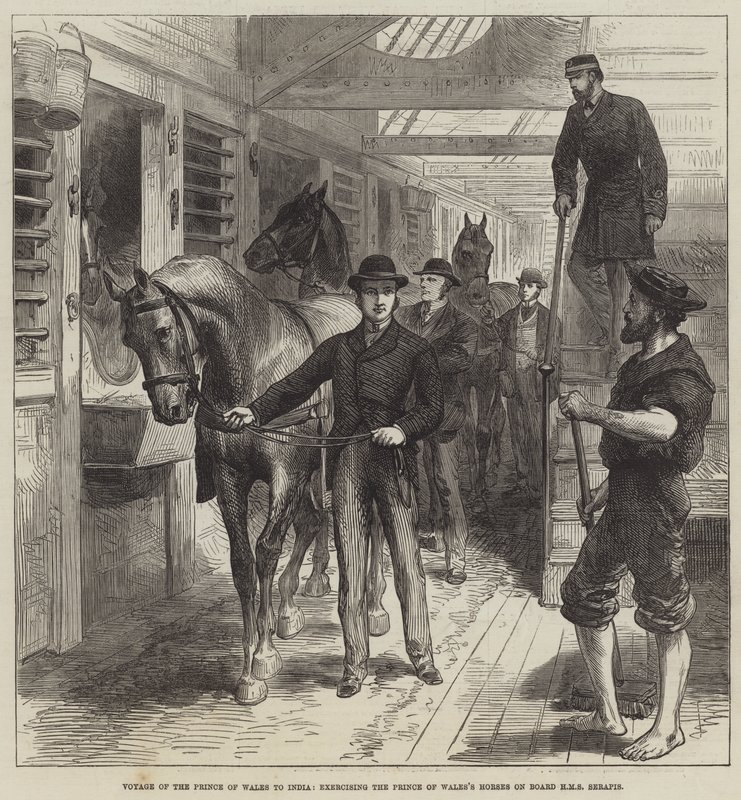 Reise des Prinzen von Wales nach Indien, Übung der Pferde des Prinzen von Wales an Bord der HMS Serapis (Stich) von English School