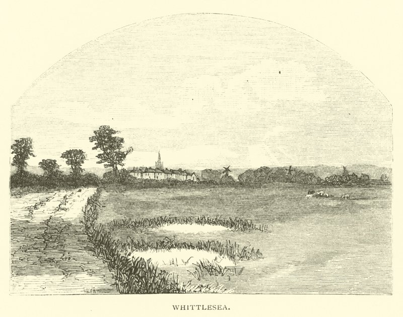 Whittlesea von English School