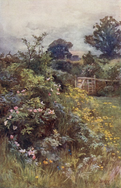 Die Herrschaft der Rose von Ernest Benger or Berenger
