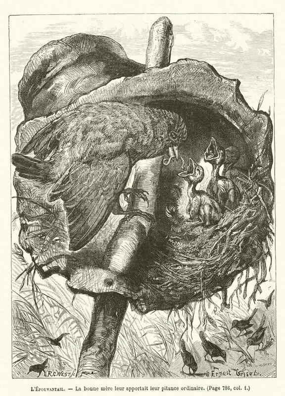 LEpouvantail, Die gute Mutter brachte ihnen ihre übliche Mahlzeit von Ernest Henry Griset