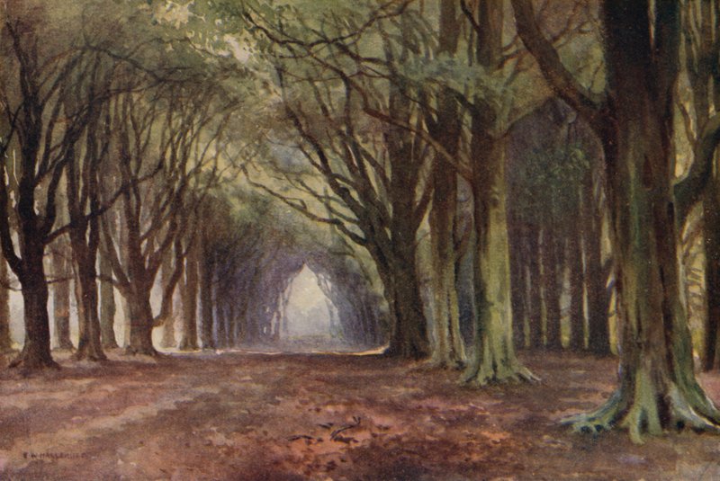 Die Buchenallee, Thoresby von Ernest William Haslehust