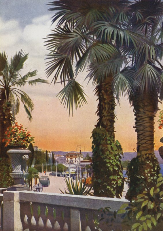 Abbazia, jetzt Opatija in Kroatien: Blick auf Palmen vom Hotel Bellevue von European Photographer