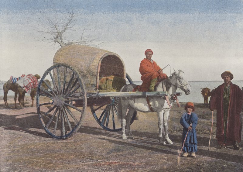 Bukhara-Wagen in Bewegung von European Photographer
