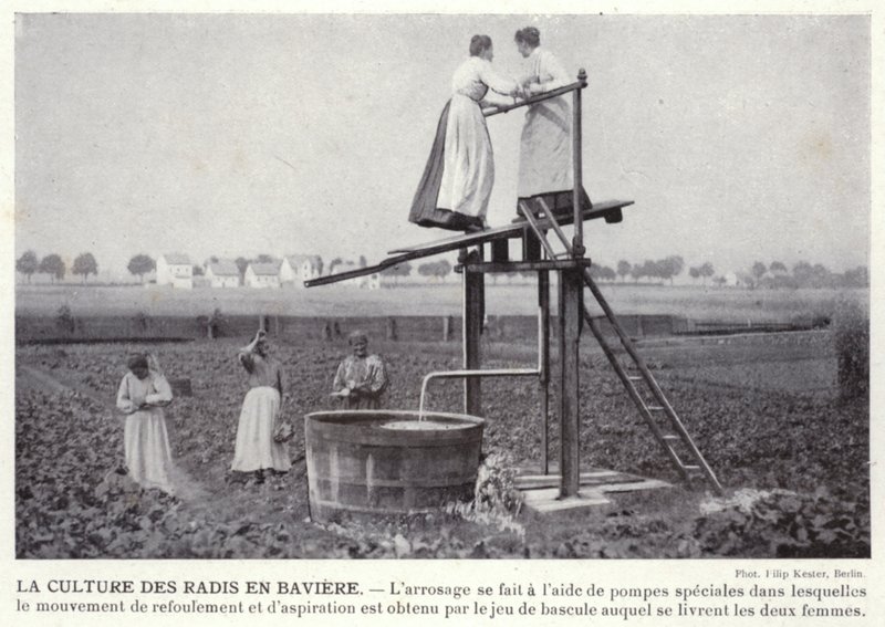 Der Radisanbau in Bayern von European Photographer