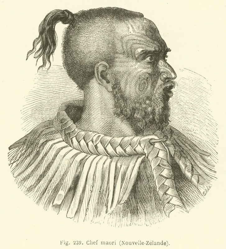 Maori-Häuptling, Neuseeland (Stich) von European School