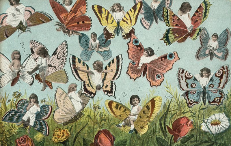 Kinder als Schmetterlinge von European School