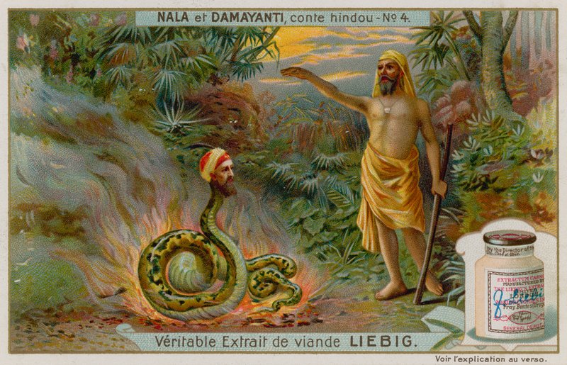 Nala rettet die Schlange Naga Karkotaka von European School