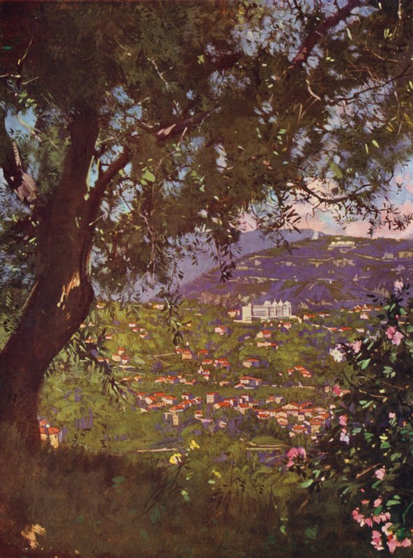Nizza, Cimiez und das Observatorium vom Schloss aus gesehen von European School