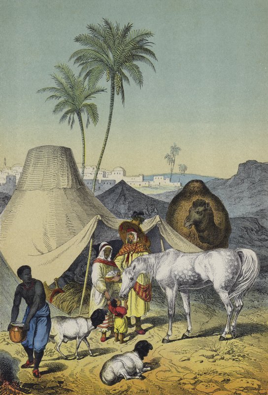 Menschen, Tiere und Pflanzen von Nordafrika und Arabien von European School